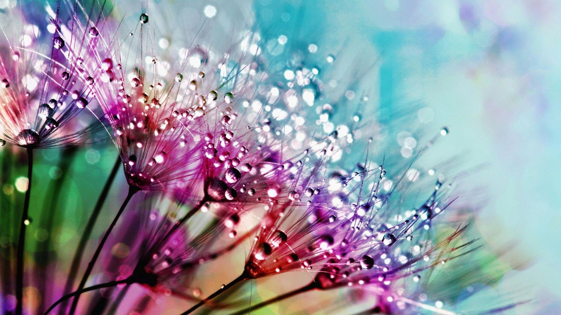 Primavera calurosa en España tras un invierno muy húmedo