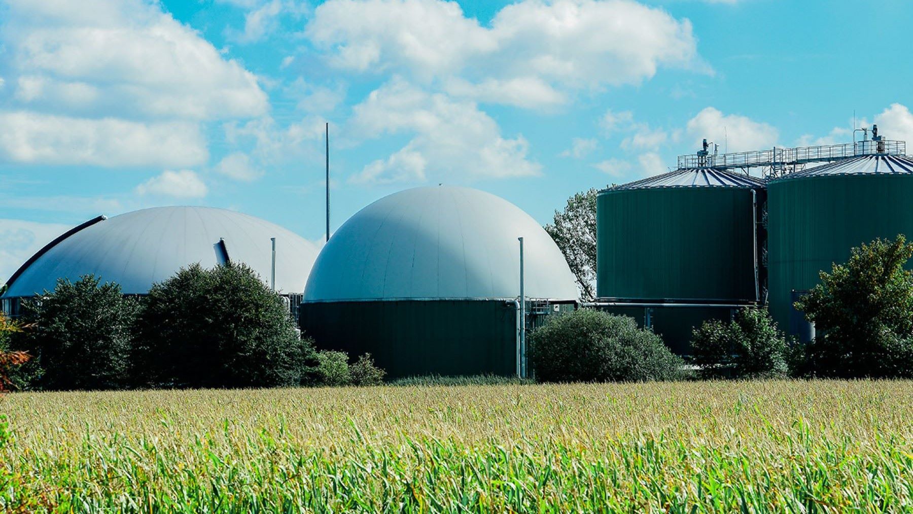 Macroplanta de biometano en Tomelloso genera alerta por impacto ambiental y sanitario