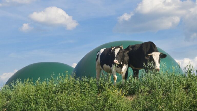Planta de biometano de residuos agropecuarios en Don Benito para producir gas renovable