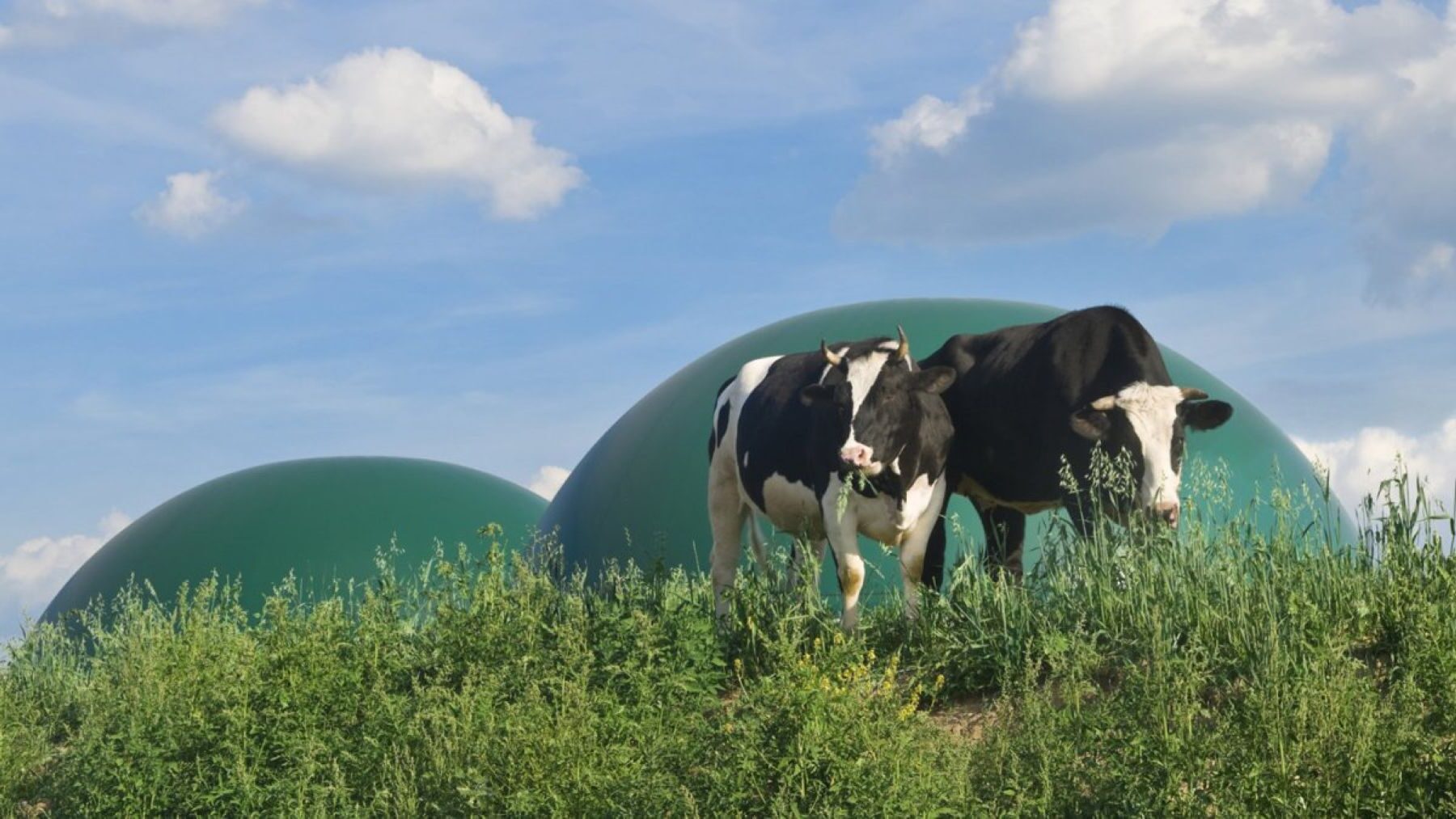 Planta de biometano de residuos agropecuarios en Don Benito para producir gas renovable