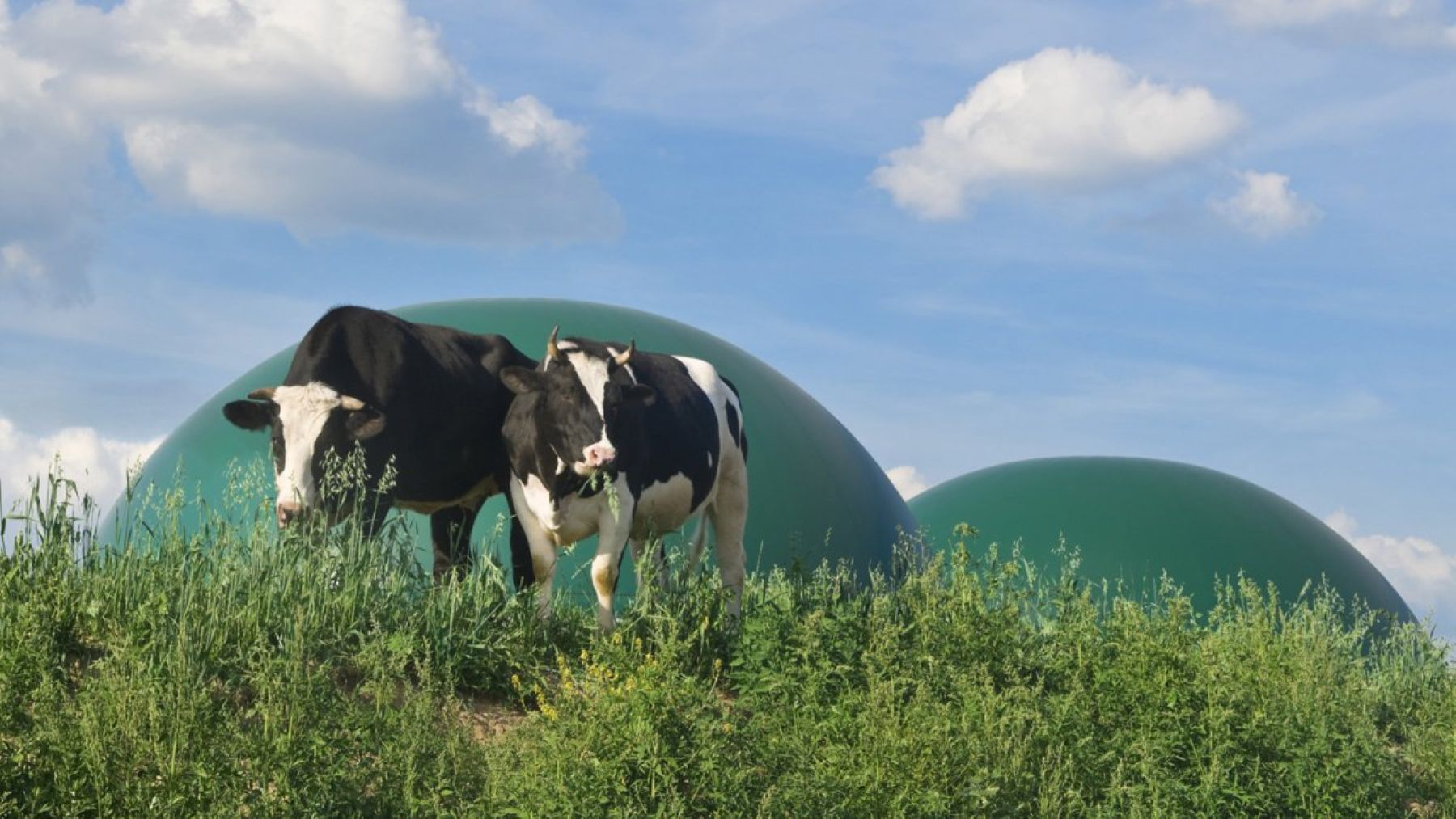 Planta de biometano de residuos agropecuarios en Don Benito para producir gas renovable