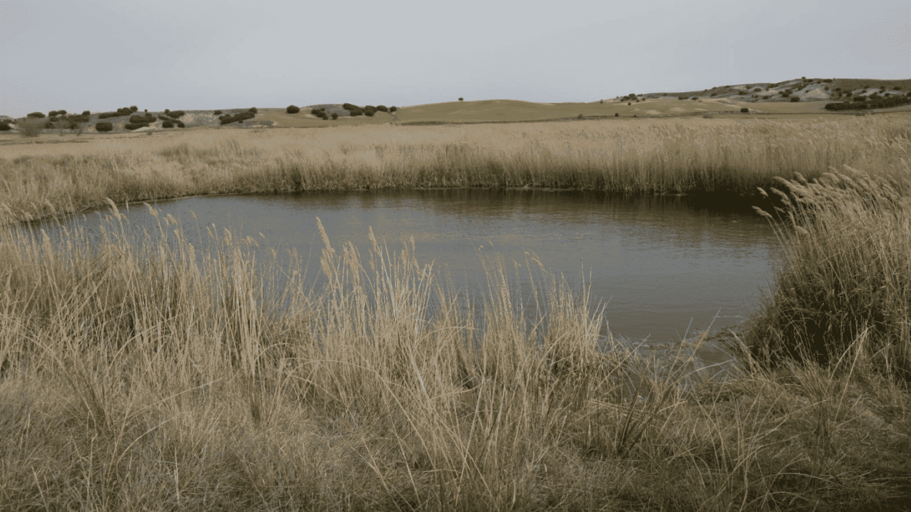 Lagunas de Ballesteros en Cuenca objeto de un proyecto de restauración ambiental