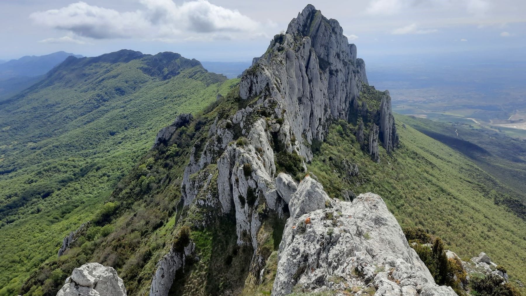 Zona de sierras en Cantabria donde se proyectaba el Parque Eólico Benavieja con presencia de alimoche y milano real