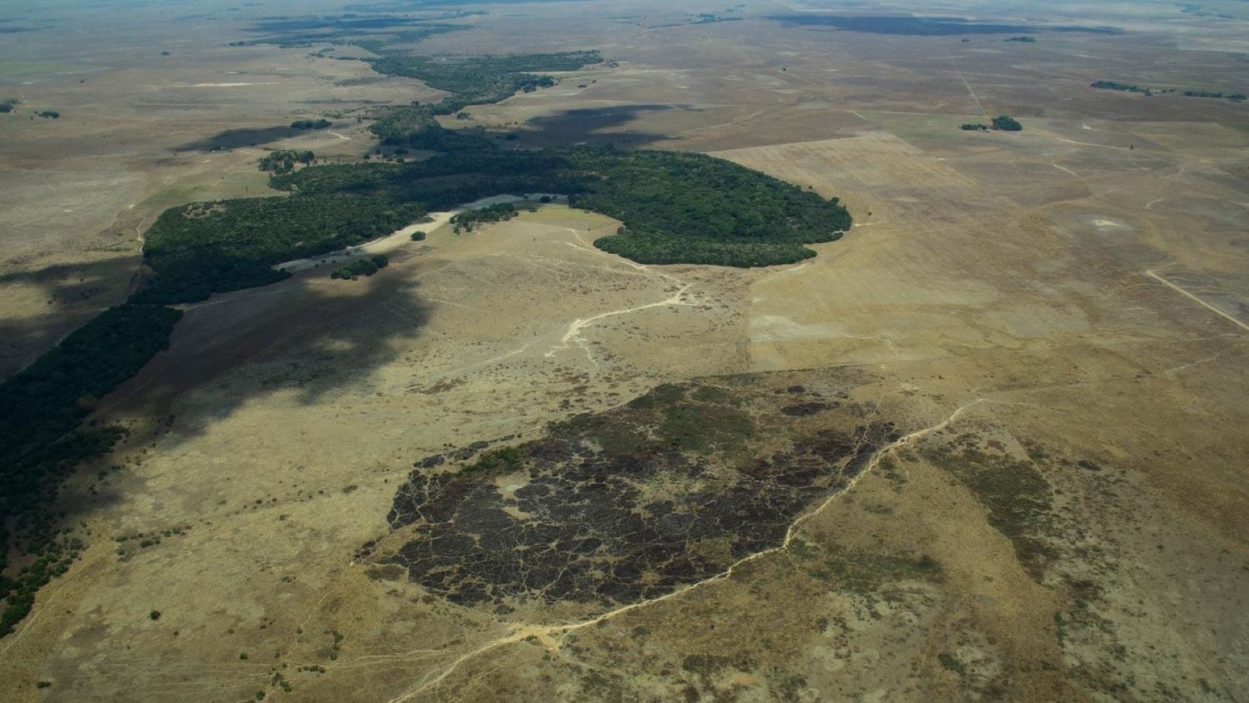 Deforestación en la Amazonía colombiana con carreteras ilegales