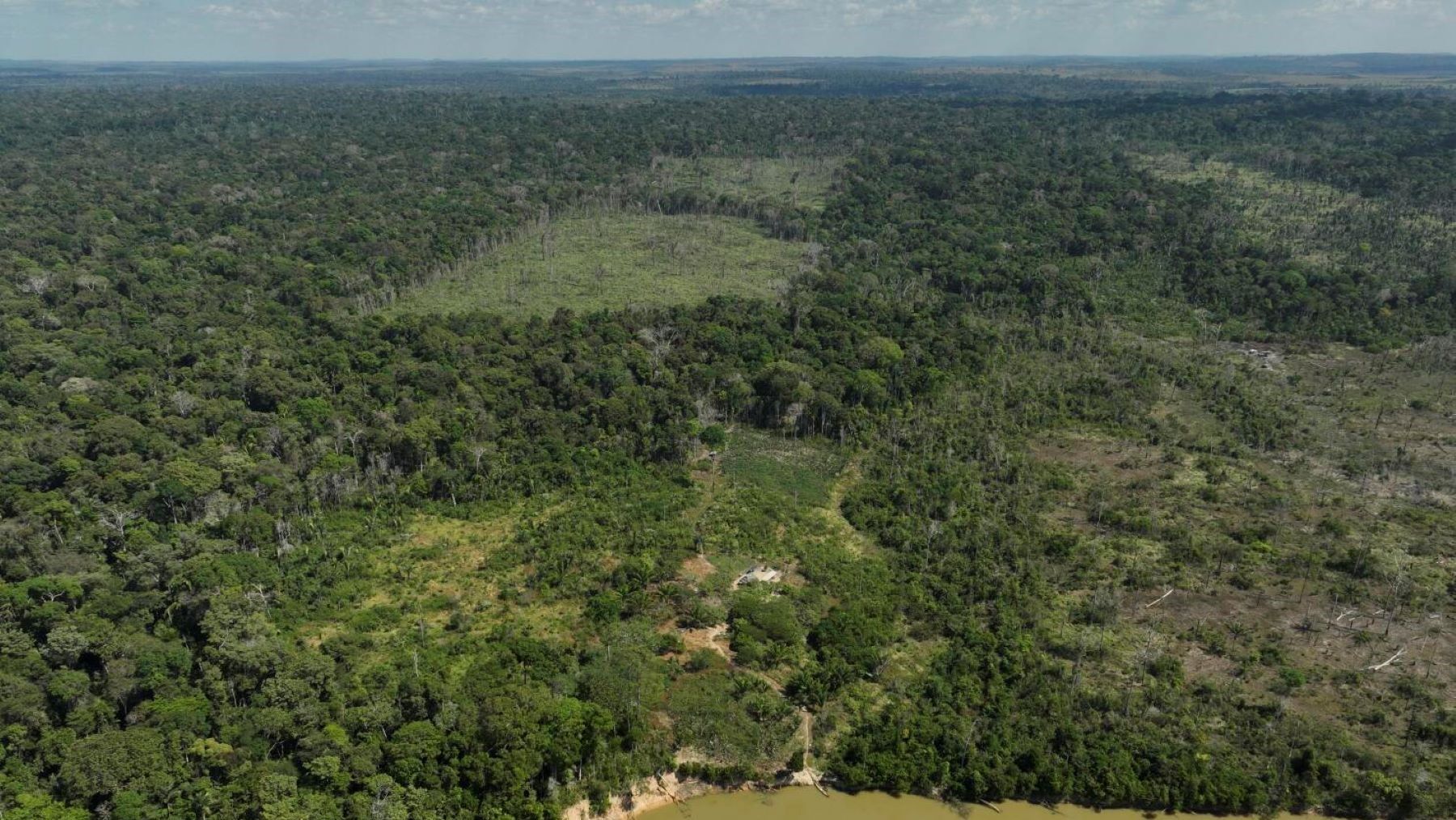Deforestación en la Amazonía brasileña crece en febrero pese a controles