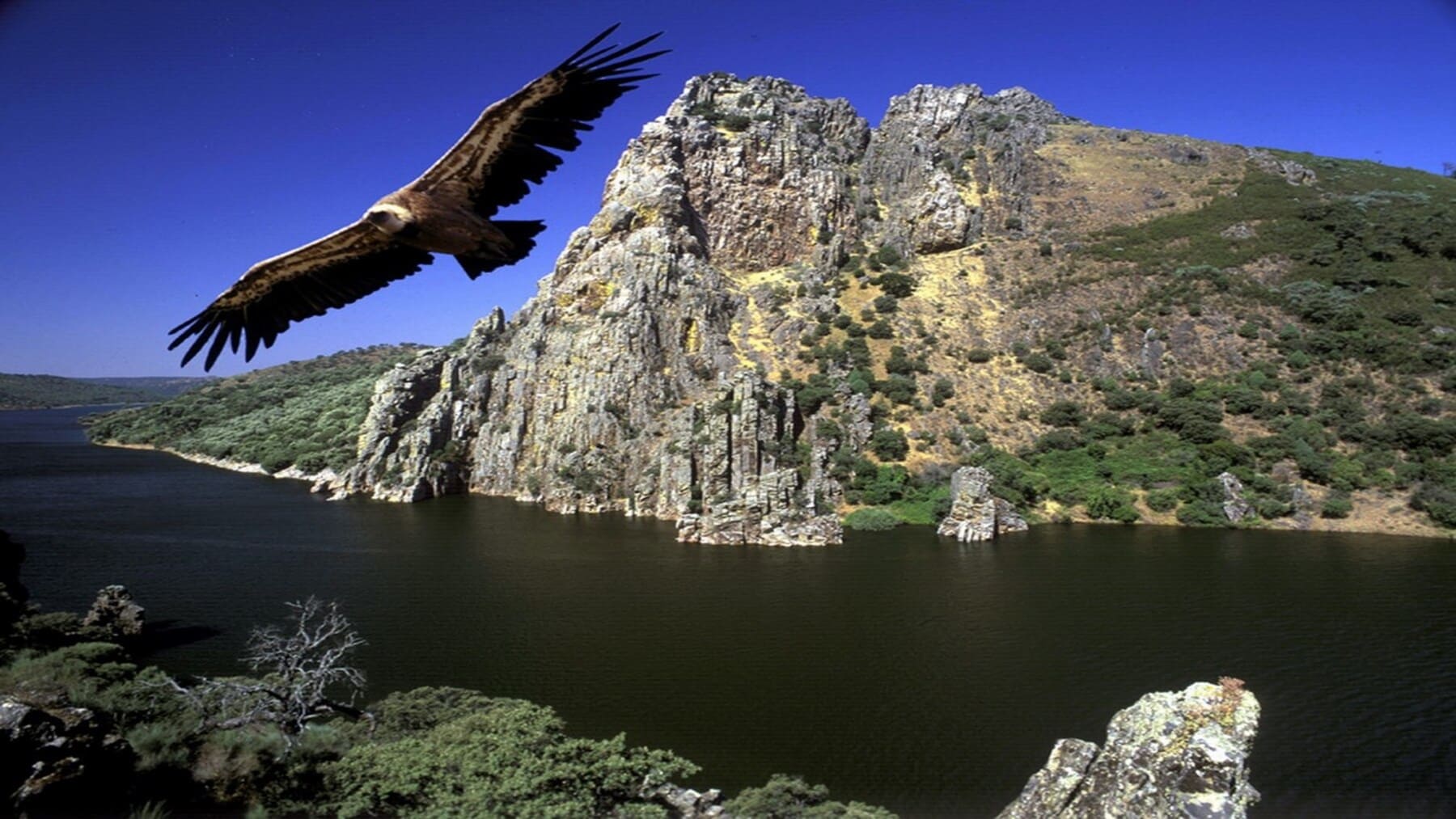 Protesta por los planes de recuperación de especies amenazadas en Extremadura durante la FIO 2026 con activistas caracterizados como fauna en peligro