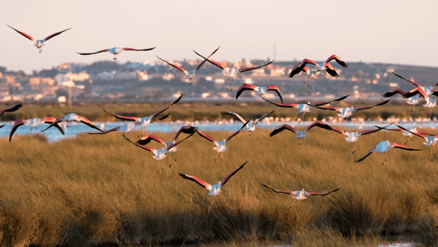 Gobierno plantea recuperar la laguna de La Janda