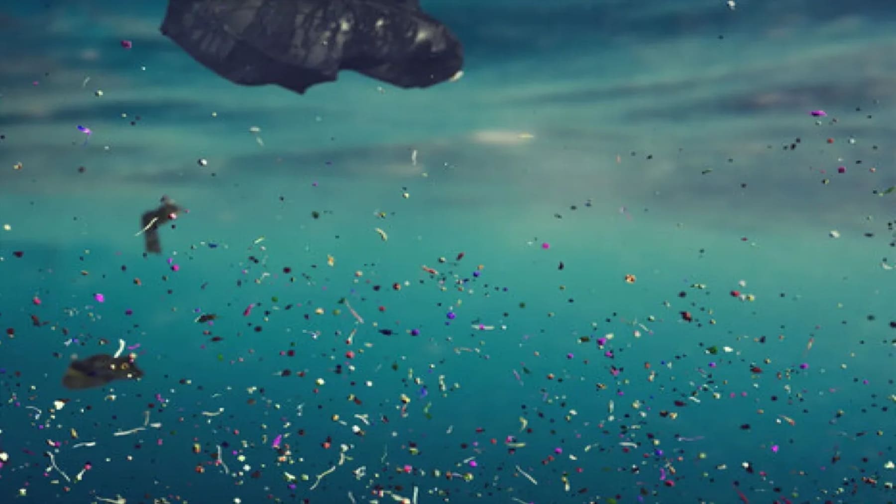 One Blue Atlantic estudia contaminantes emergentes hasta 5.000 metros en el Atlántico