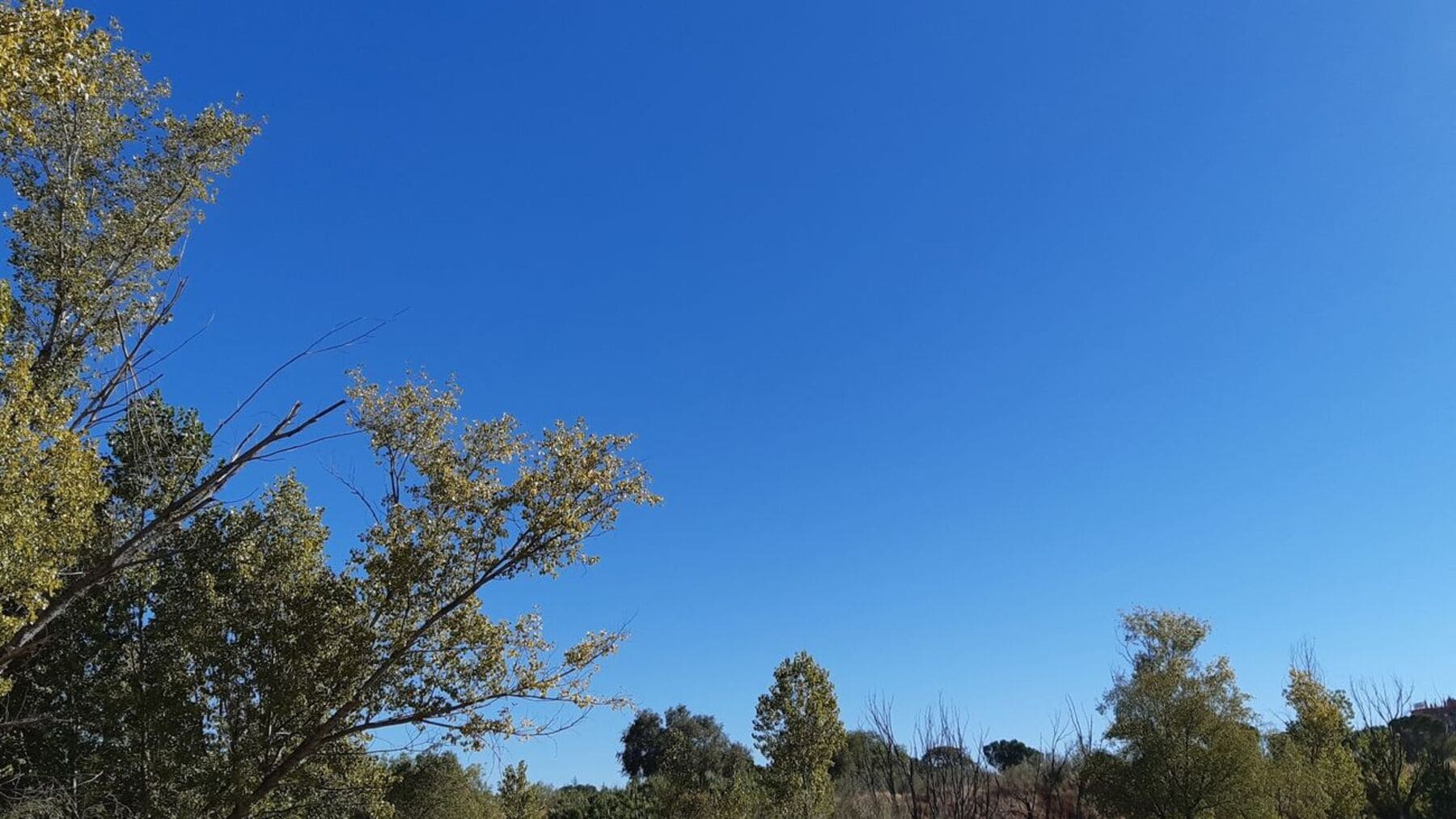 Tiempo 12 de marzo en España con cielos despejados