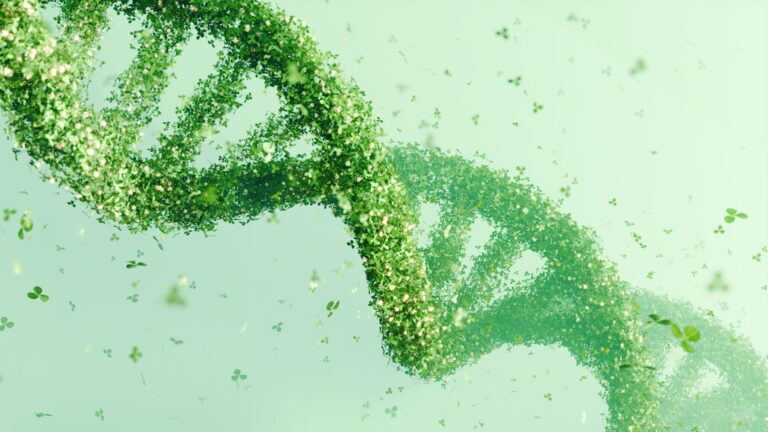 ADN oculto de las plantas revela 300 millones de evolución