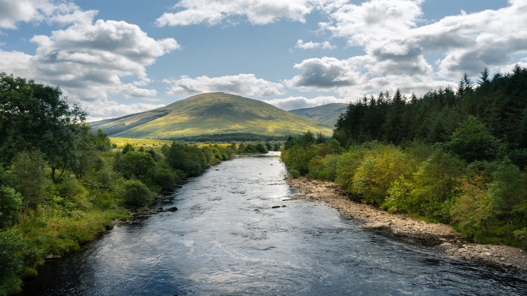 Río natural con bosque de ribera representando el Día Internacional de Acción por los Ríos 2026