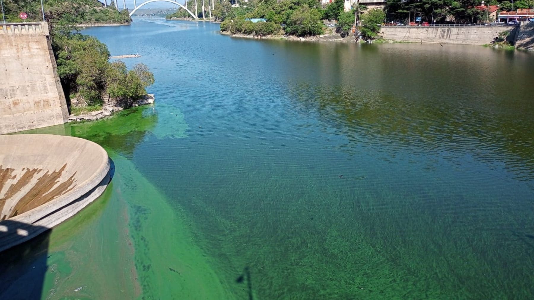 Floraciones de algas verdes en el dique San Roque de Córdoba, foco del plan para generar energía limpia con biogás.