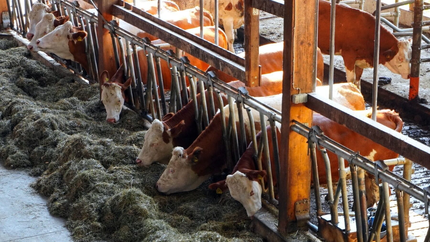 Metano clave para frenar el cambio climático a corto plazo