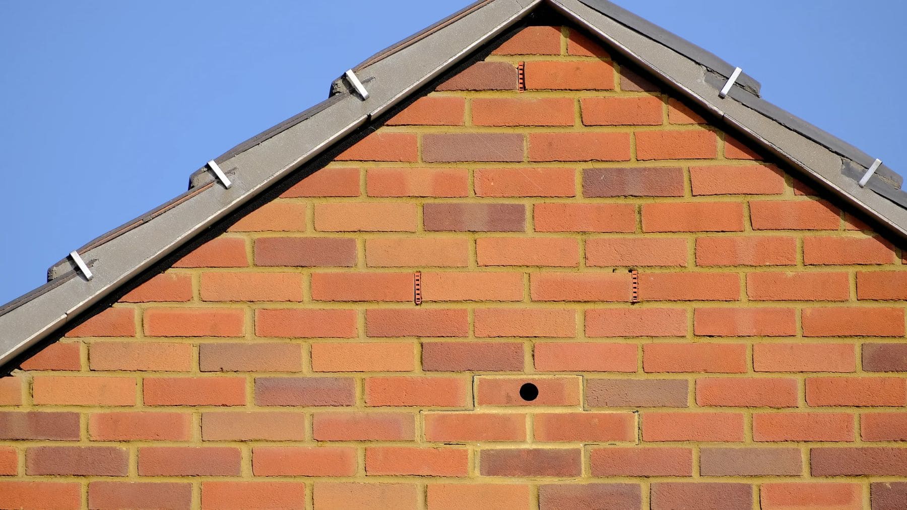 Ladrillo nido para vencejos integrado en la fachada de un edificio nuevo, medida obligatoria en Escocia para proteger esta especie.