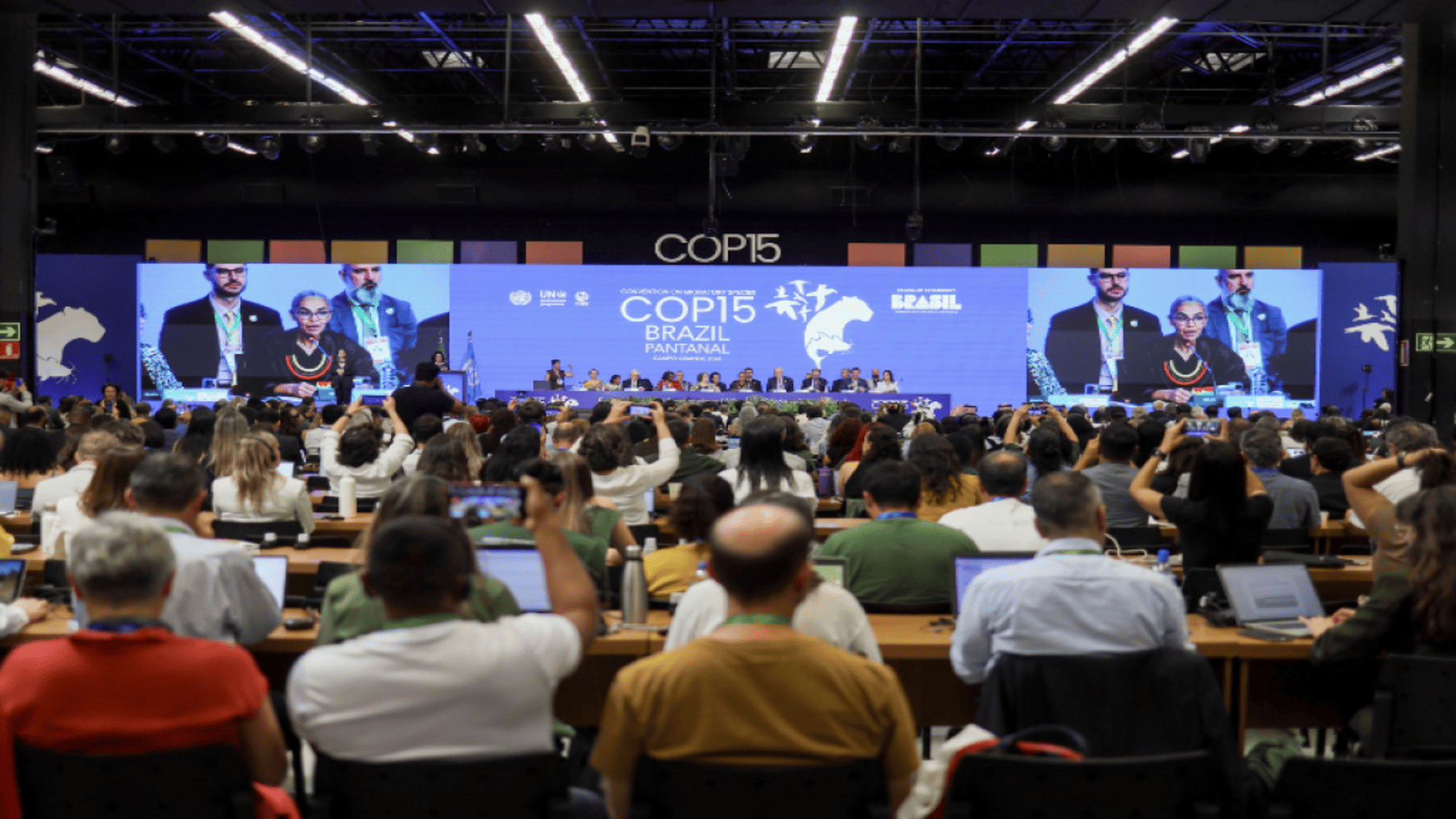 COP15 protege 40 nuevas especies migratorias en la ONU