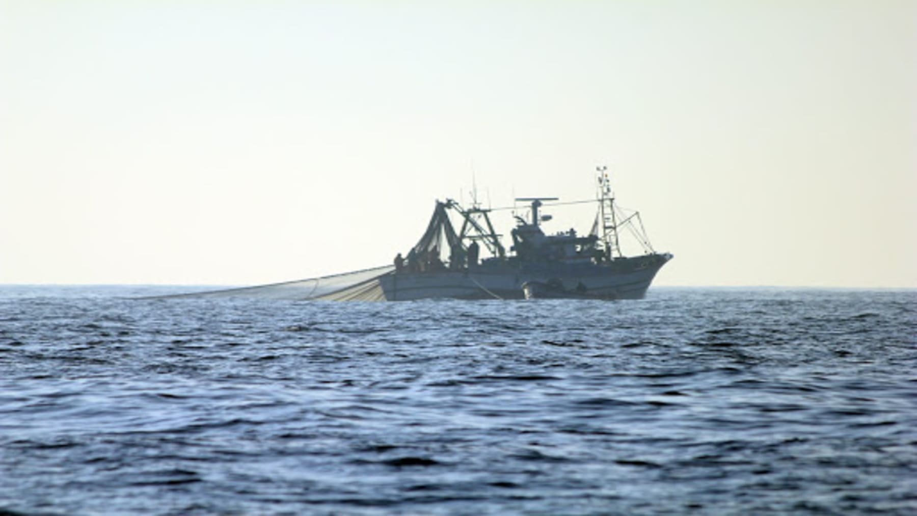 Flotas asiáticas sobreexplotan peces frente a Isla de Pascua con pesca industrial intensiva