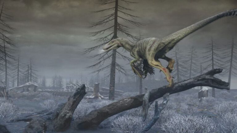 Diminutos dientes fósiles de Purgatorius, el primate más antiguo tras la extinción de los dinosaurios