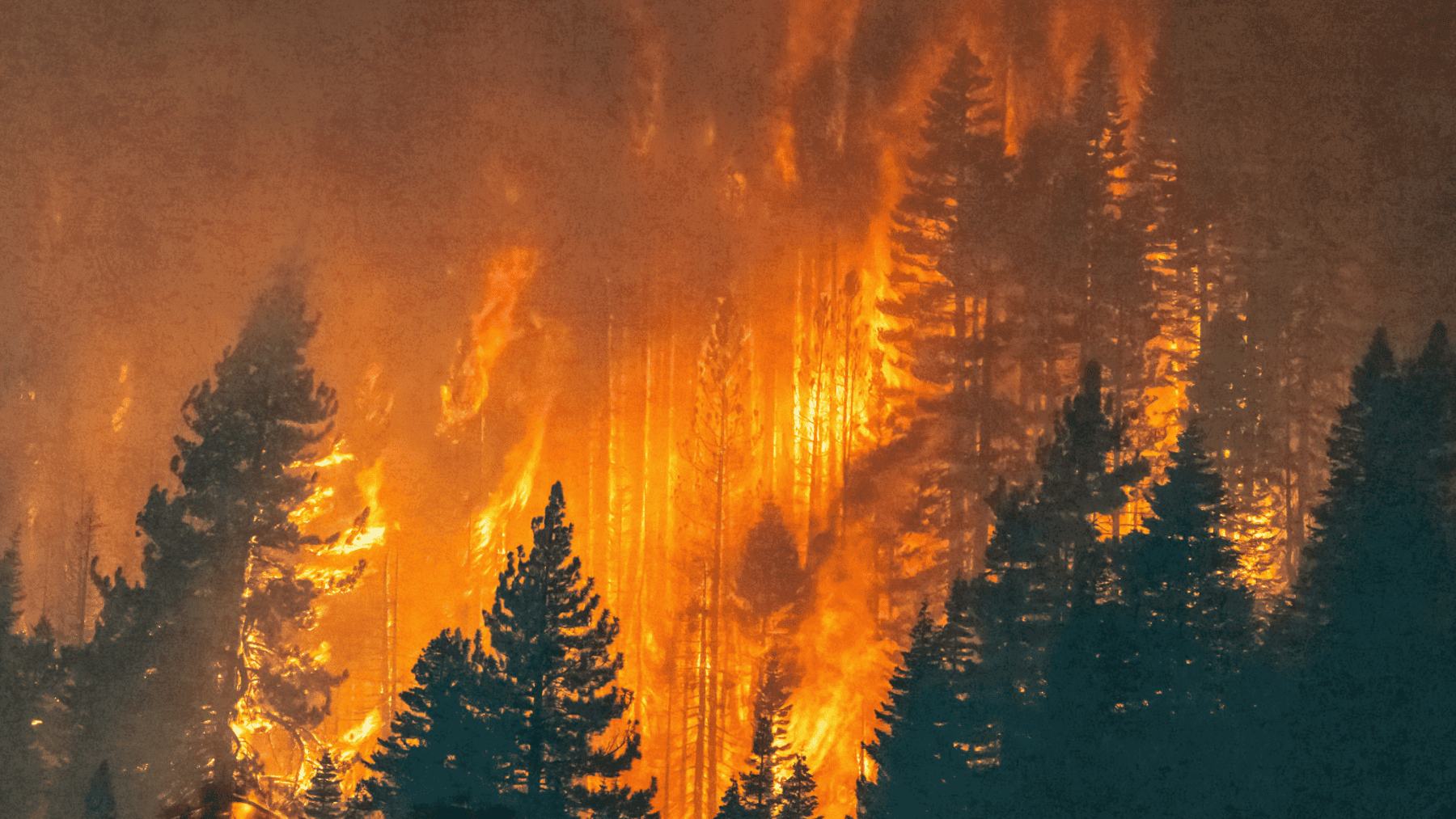 Inteligencia artificial predice incendios e inundaciones con días de antelación