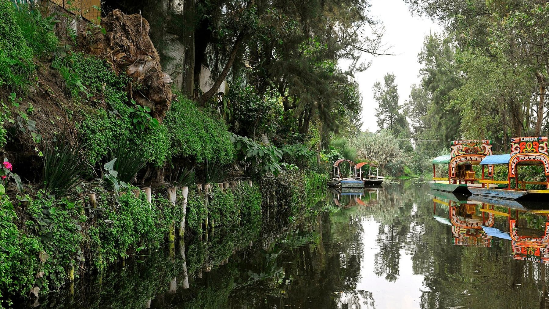 Canal de Xochimilco en México con agua contaminada donde se prueban filtros de pelo humano para limpiar el agua.