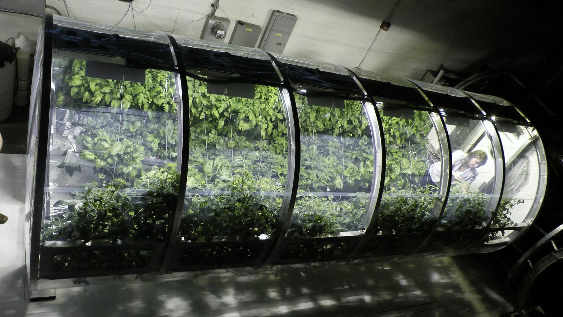 Invernadero experimental de la NASA para cultivar plantas en misiones espaciales hacia Marte y la Luna.