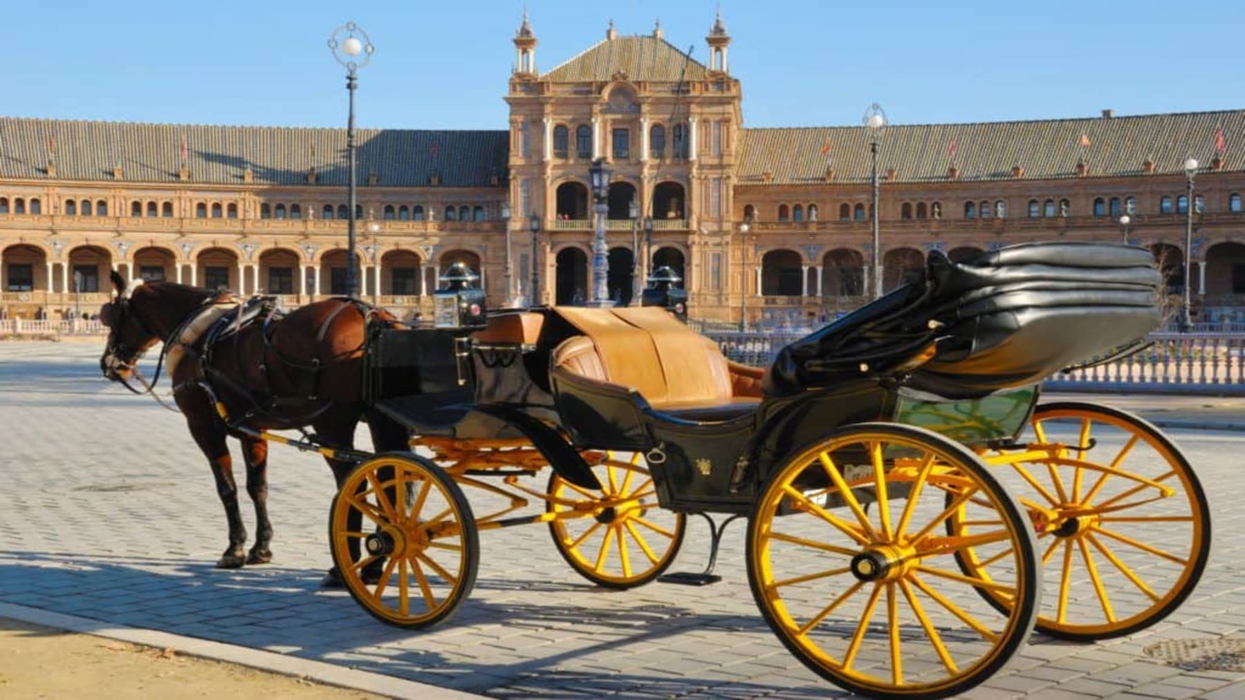 Coches de caballos en Sevilla: la nueva ordenanza limitará su circulación con altas temperaturas