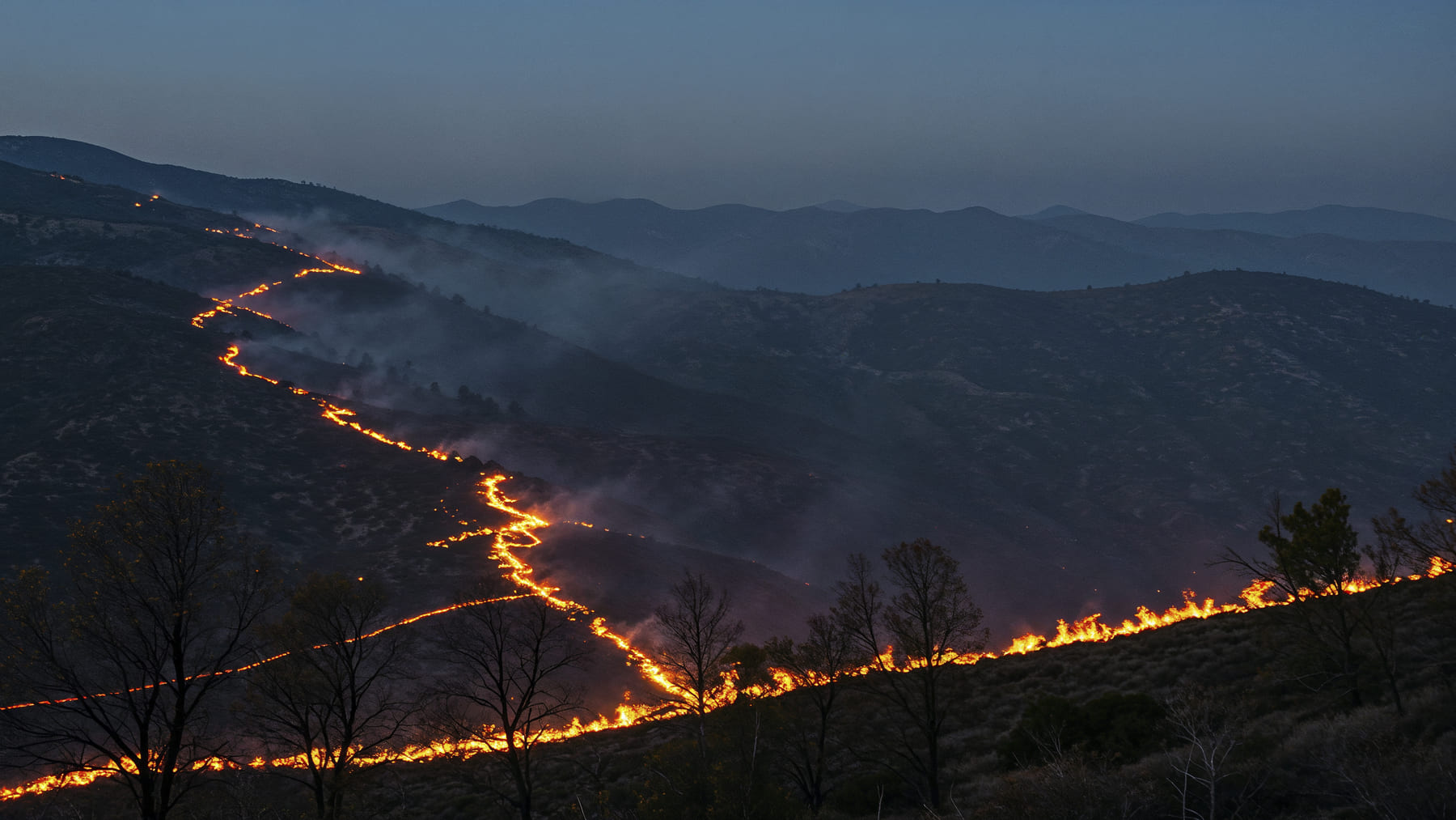 Bosque de Castilla y León afectado por sequía y riesgo de incendios