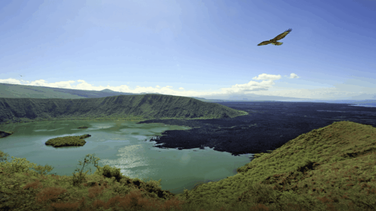 Parque Nacional Galápagos protegido contra minería