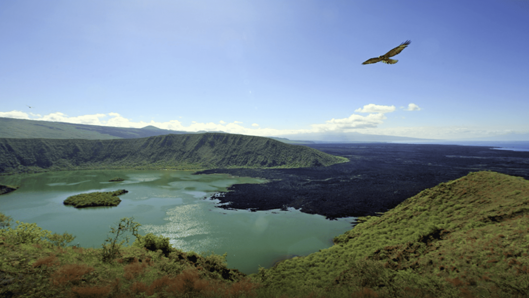 Parque Nacional Galápagos protegido contra minería