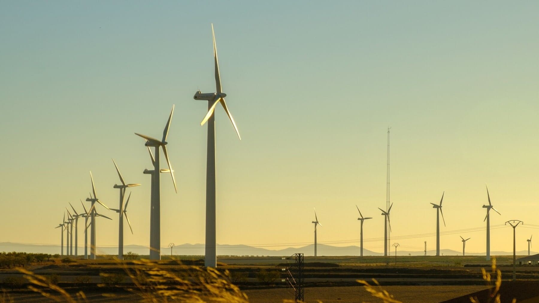 Proyectos de renovables de Forestalia en Aragón investigados