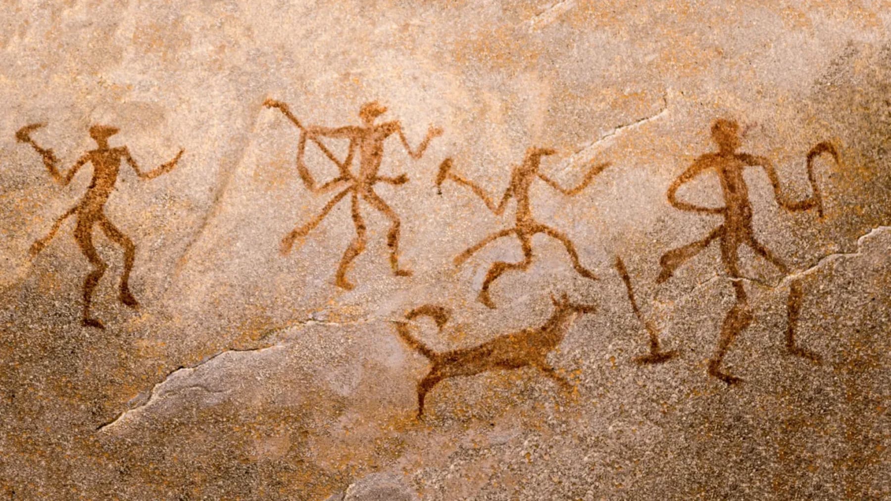 Los perros ya convivían con humanos hace 15.800 años en el Paleolítico