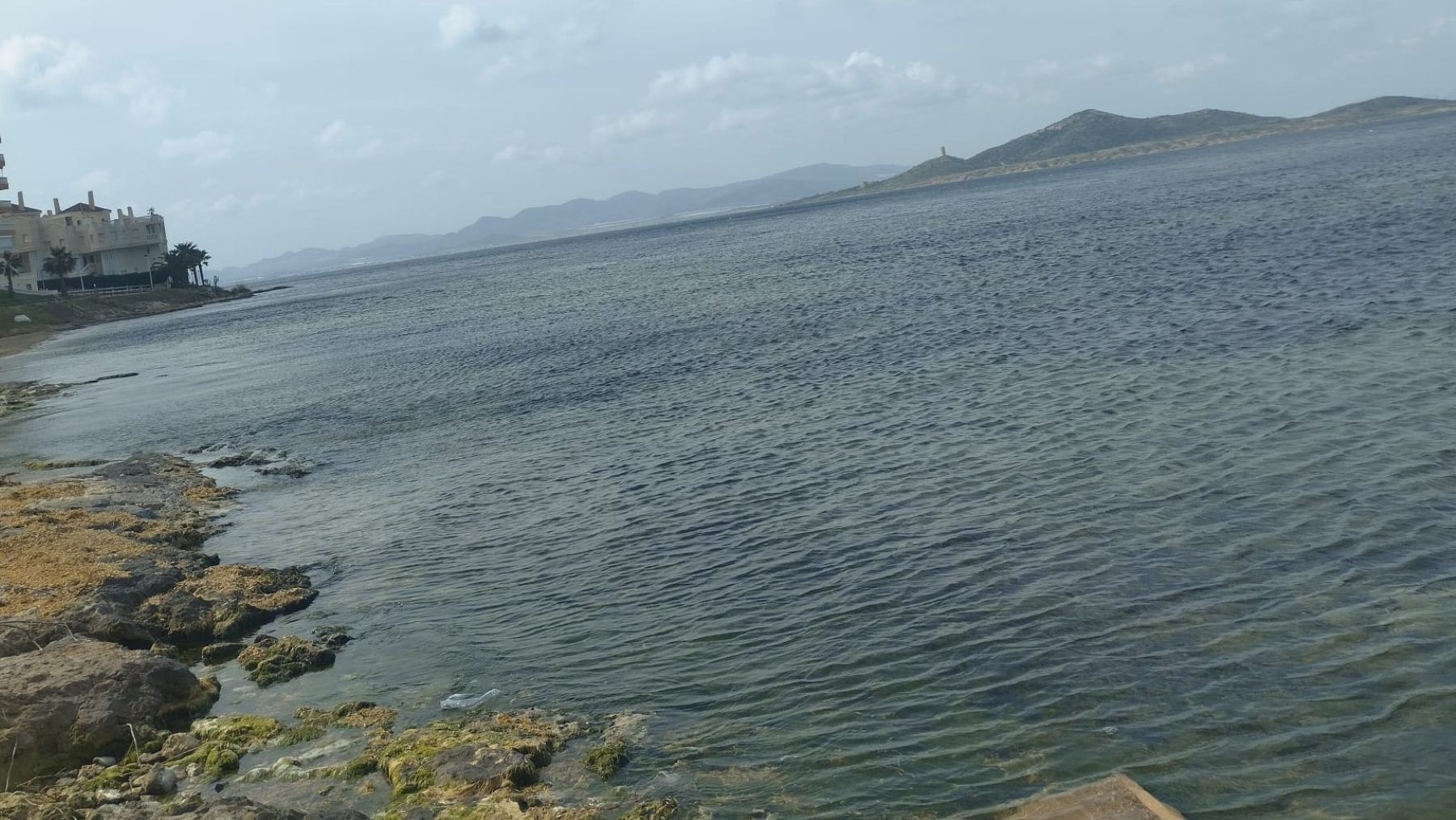 plan Mar Menor inversión MITECO 2026 proyectos ambientales