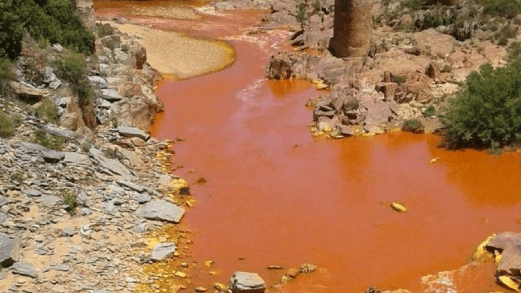 Vertidos mineros en el Guadalquivir podrían multiplicar la contaminación por diez