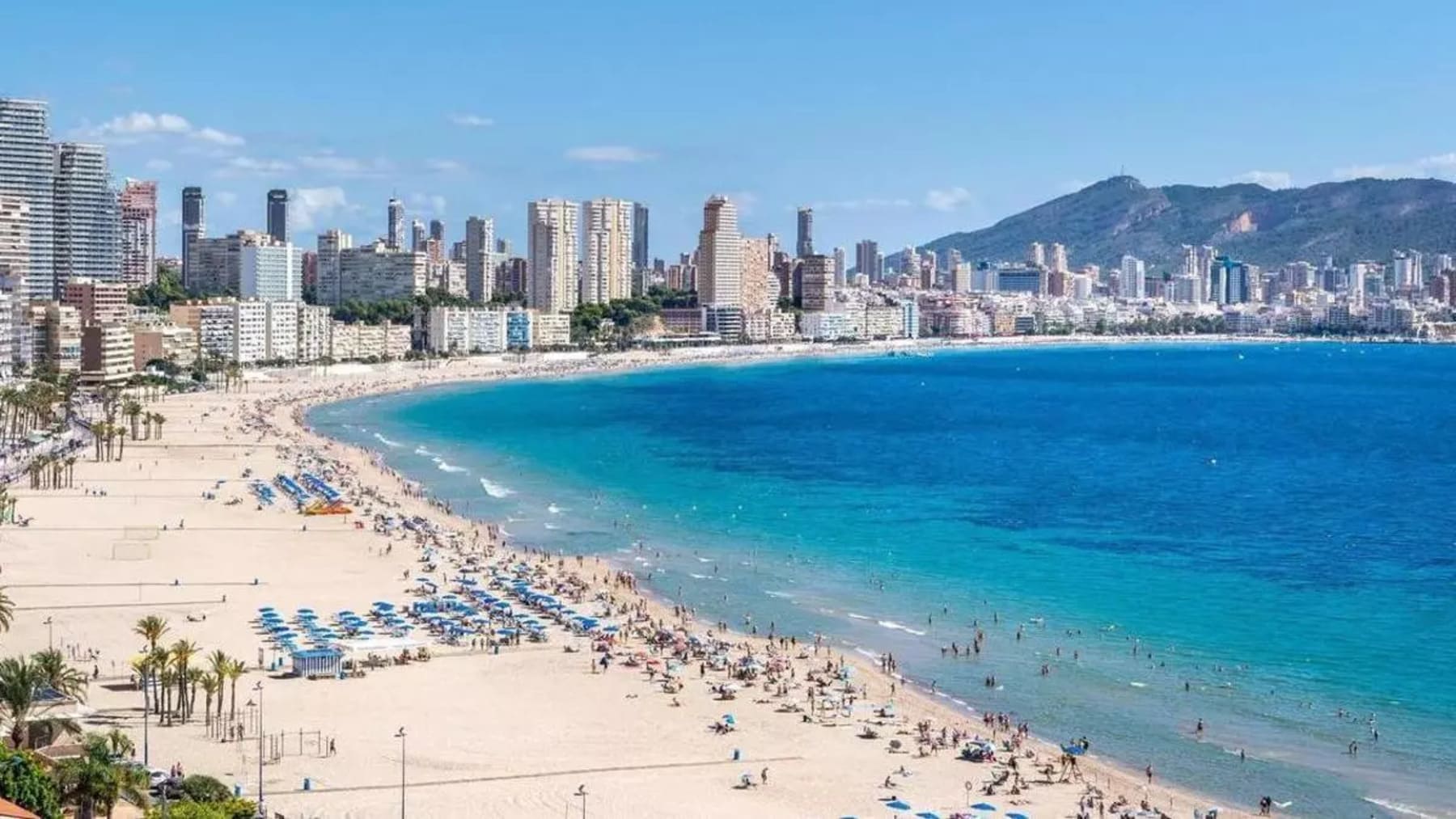 Benidorm creará dunas vegetadas en playas contra el cambio climático