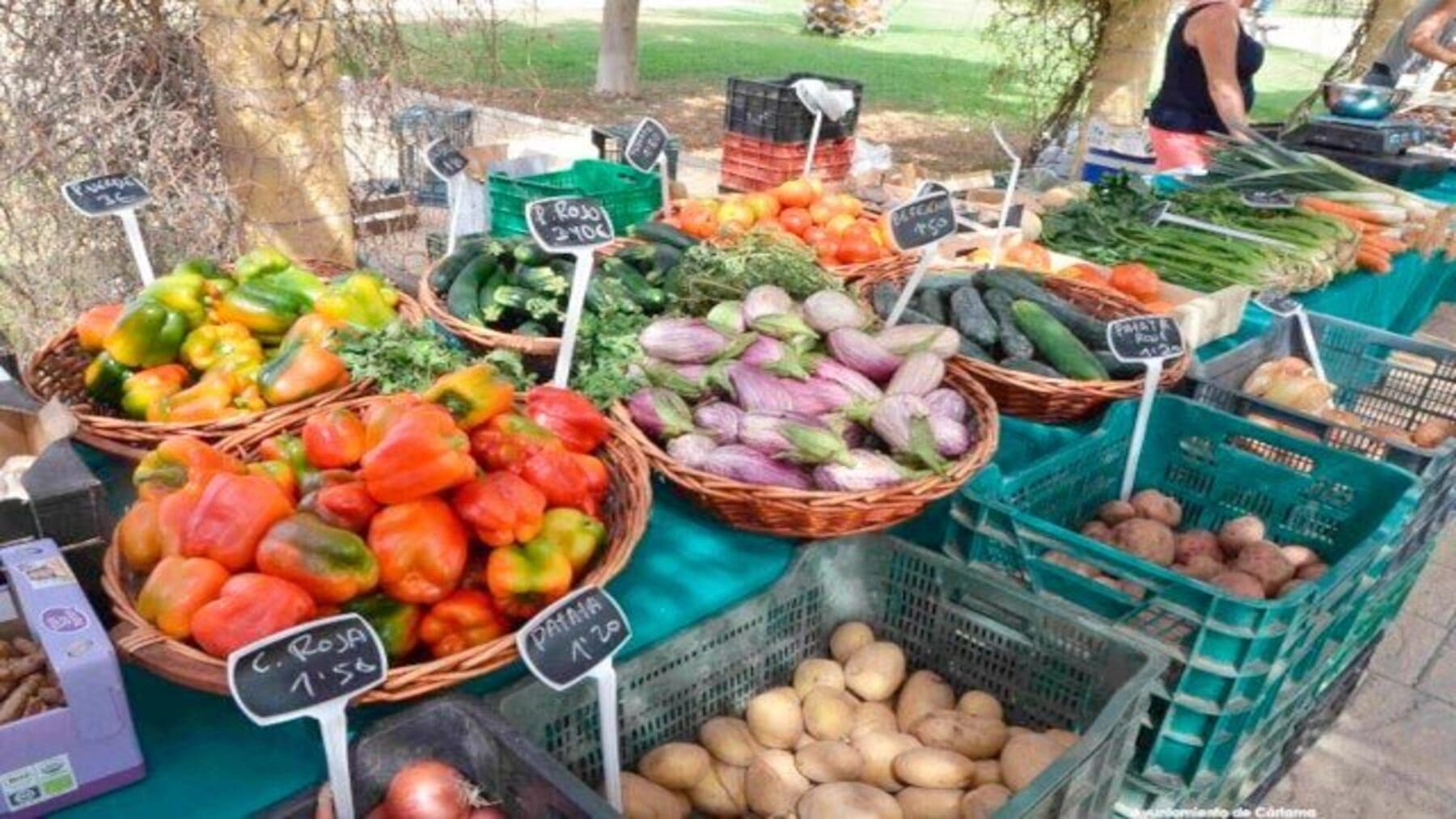 Mercado de Productores en Fuenlabrada impulsa consumo local sostenible con productos frescos