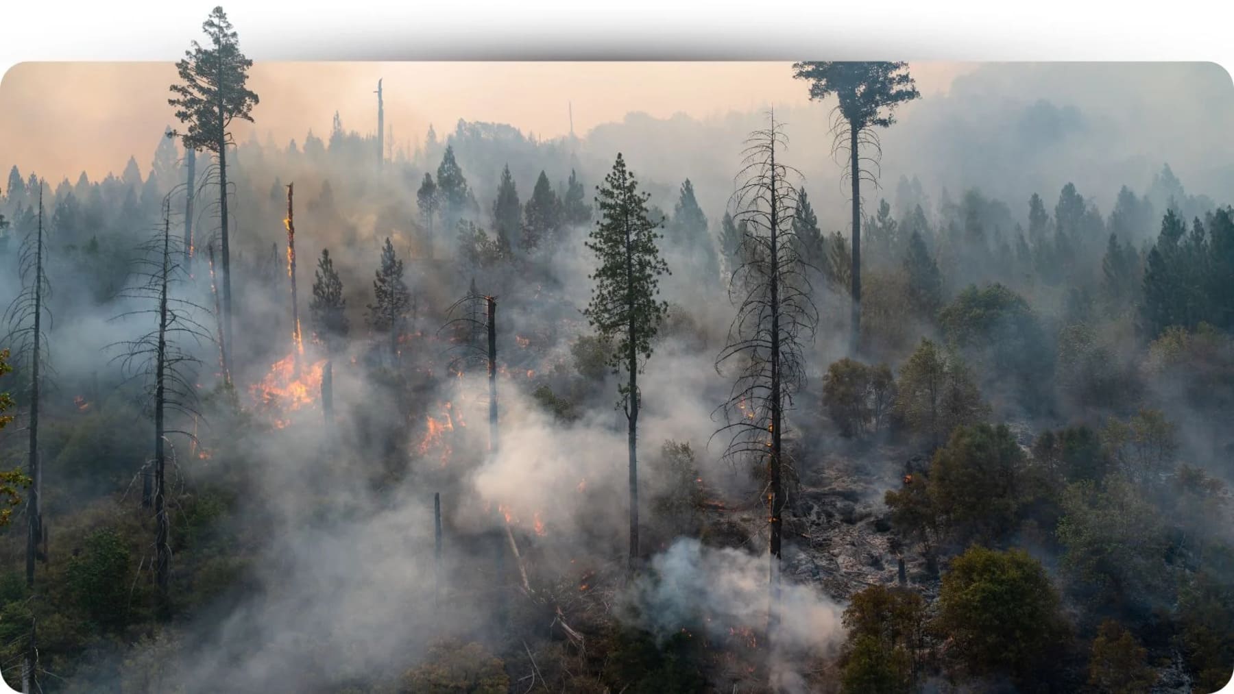 Canarias incorpora robots para prevenir incendios forestales con maquinaria avanzada