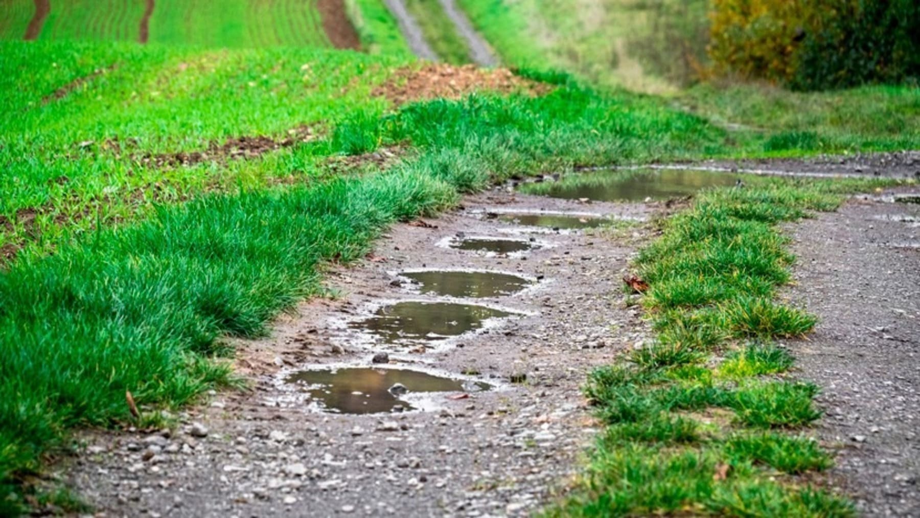 El tiempo que hará hoy 4 de marzo de 2026: predicción por CCAA