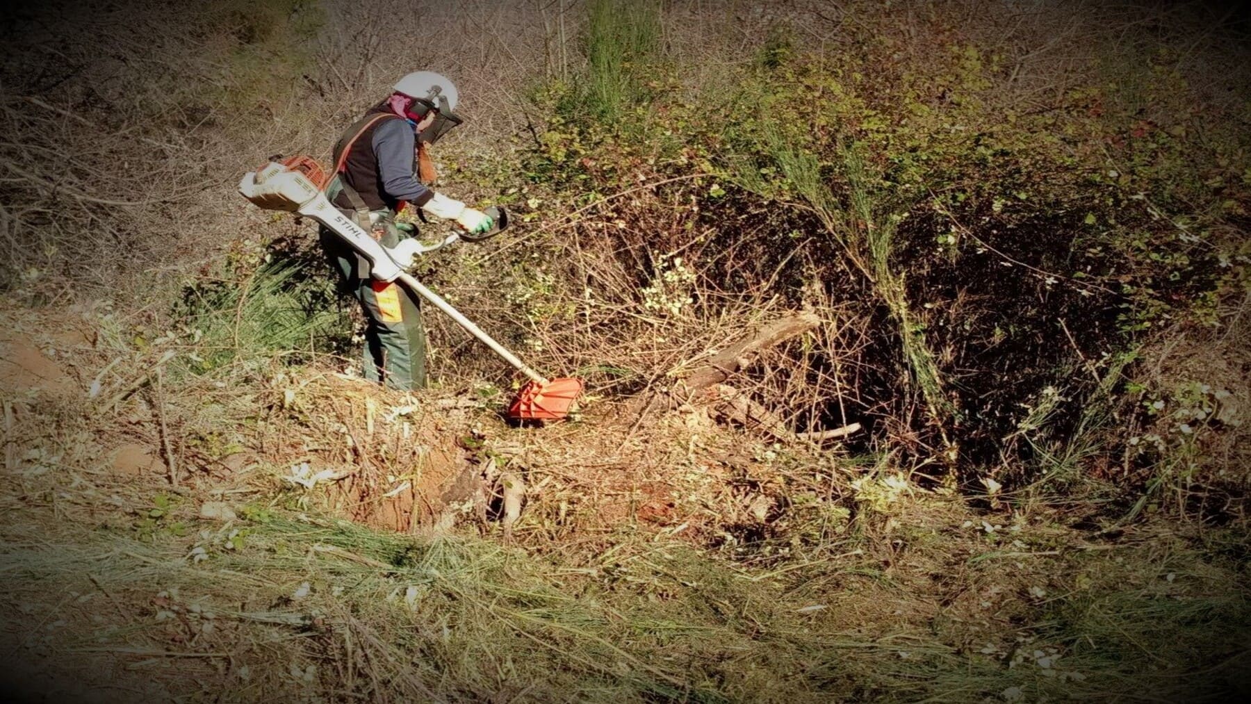 Prevención de incendios forestales en Baleares 2025