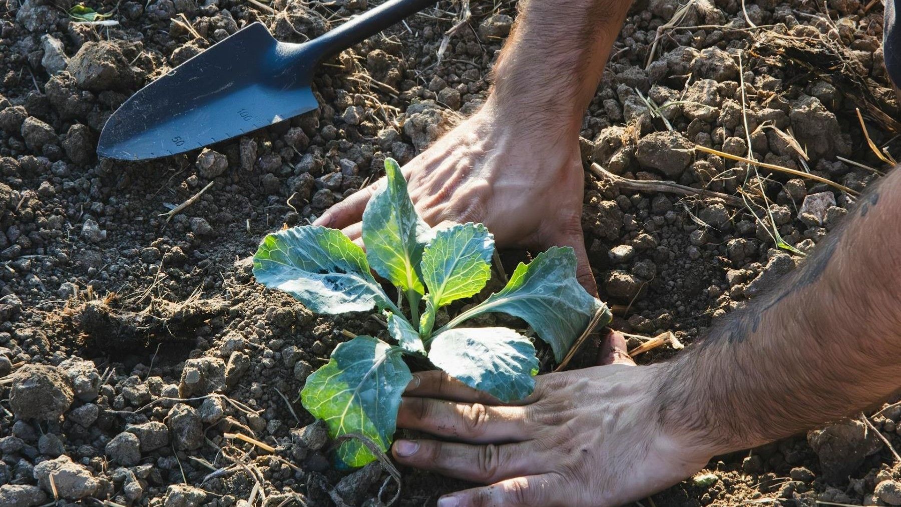 la agricultura ecológica refuerza la seguridad alimentaria europea frente a crisis geopolíticas y energéticas