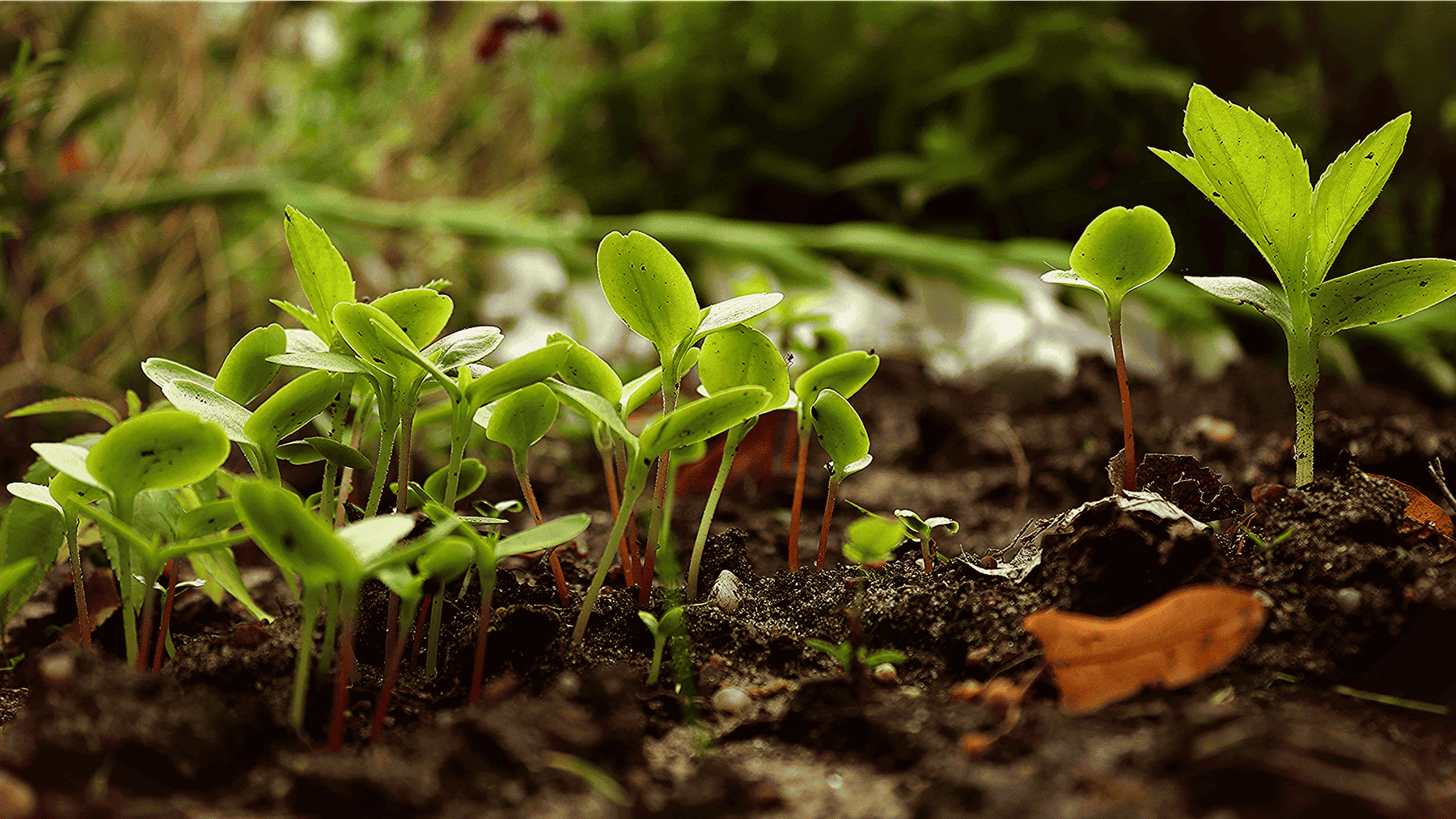 producción ecológica en Navarra mantiene estabilidad y refuerza su valor sostenible