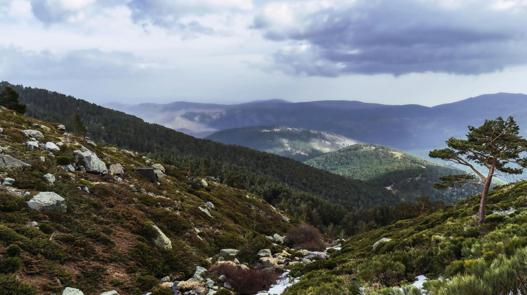 Ampliación del Parque Nacional de la Sierra de Guadarrama en superficie protegida paisaje