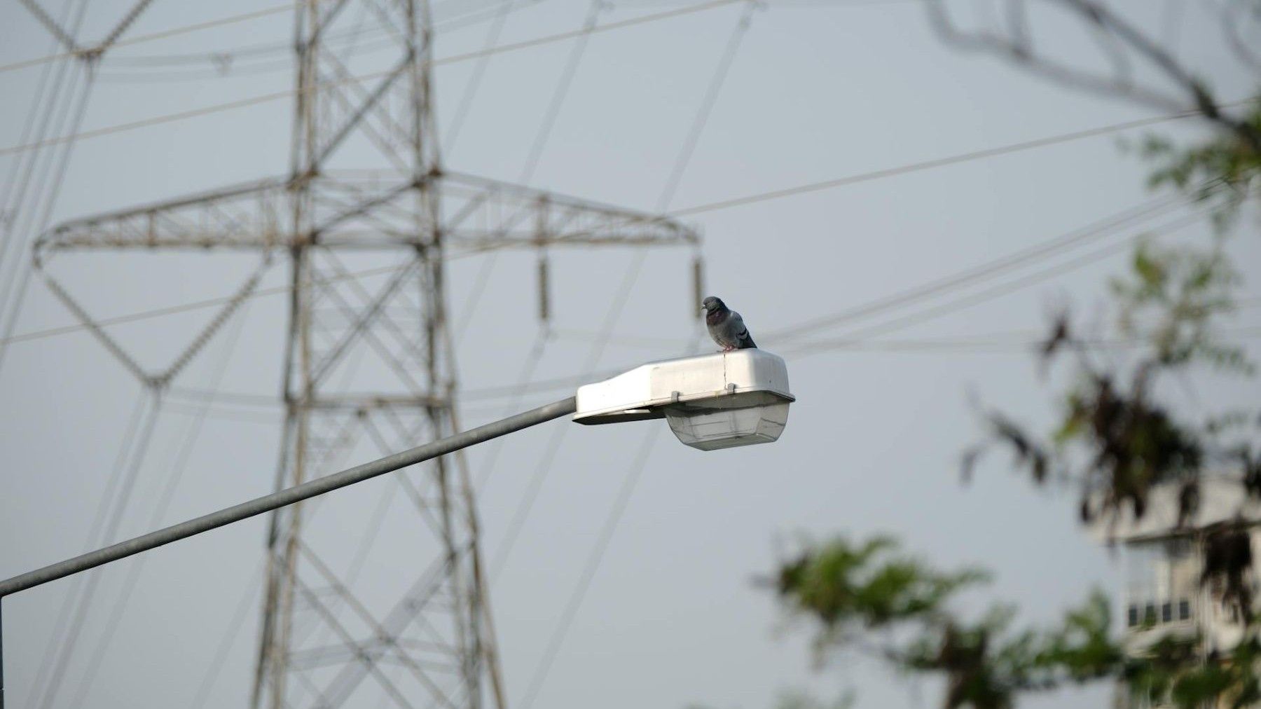 Las renovables no causaron el apagón en España red eléctrica