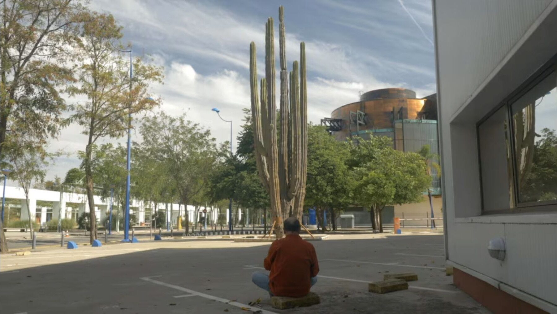 El cactus de la Expo 92 en Sevilla en peligro por el hormigón y el abandono