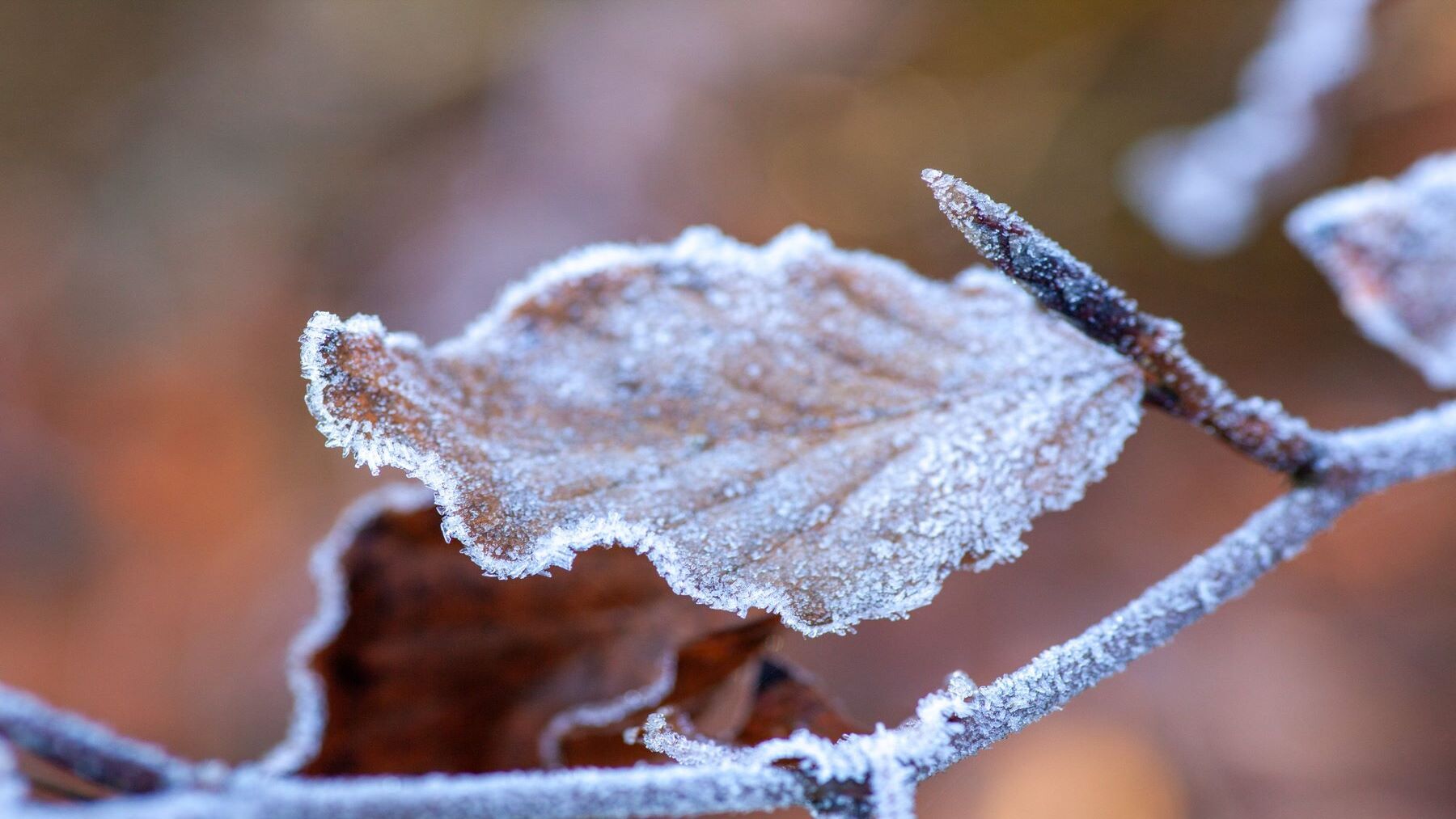 tiempo España nieve abril descenso temperaturas viento lluvia