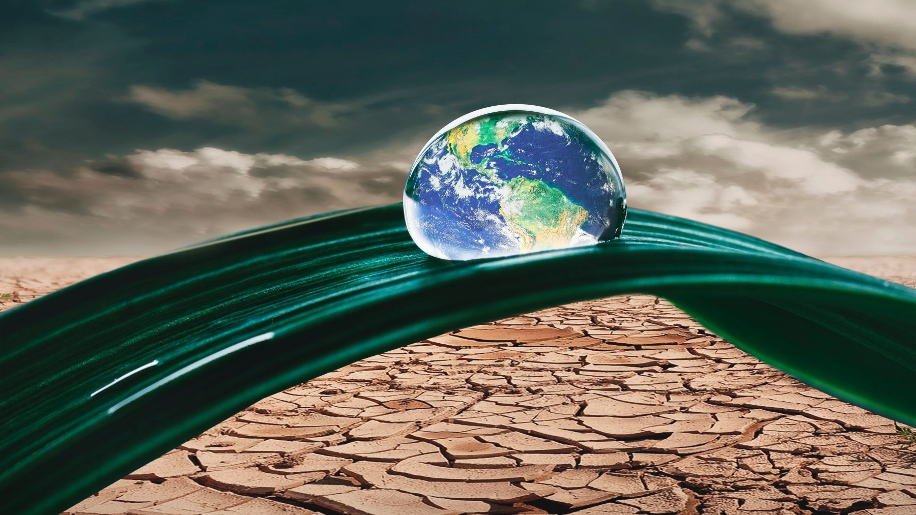 ClientEarth y el derecho clave frente a la crisis climática y la pérdida de biodiversidad evento expertos