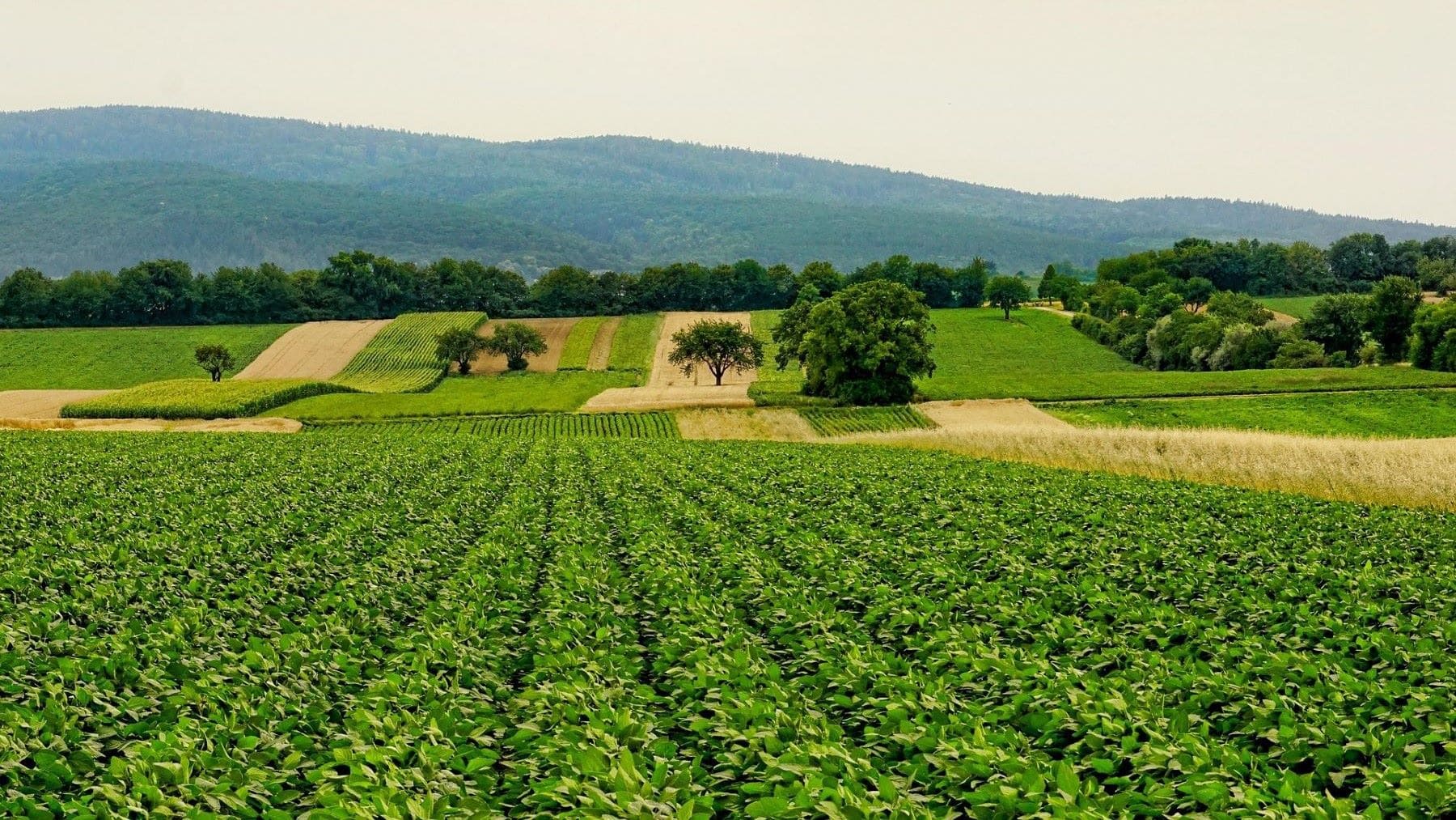 I Congreso de Agricultura y Biodiversidad impulsa la transición agraria sostenible en España