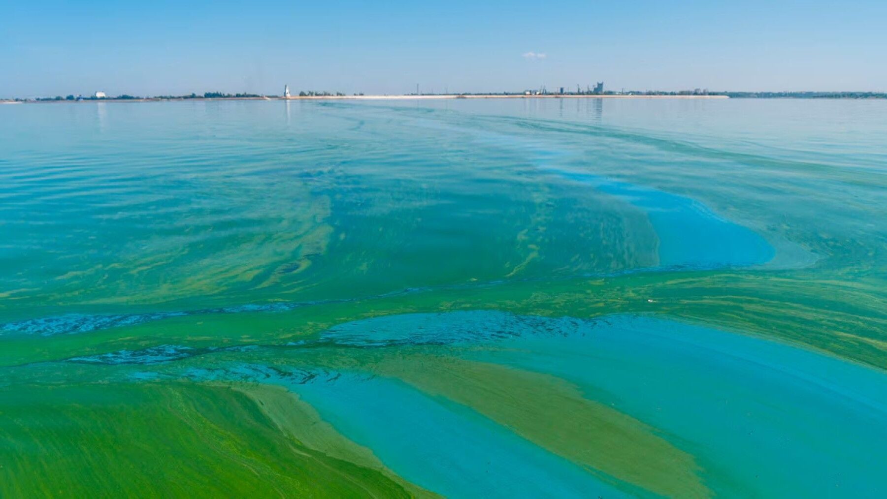 contaminación difusa de la cuenca del Segura en la planificación hidrológica fertilizantes agua