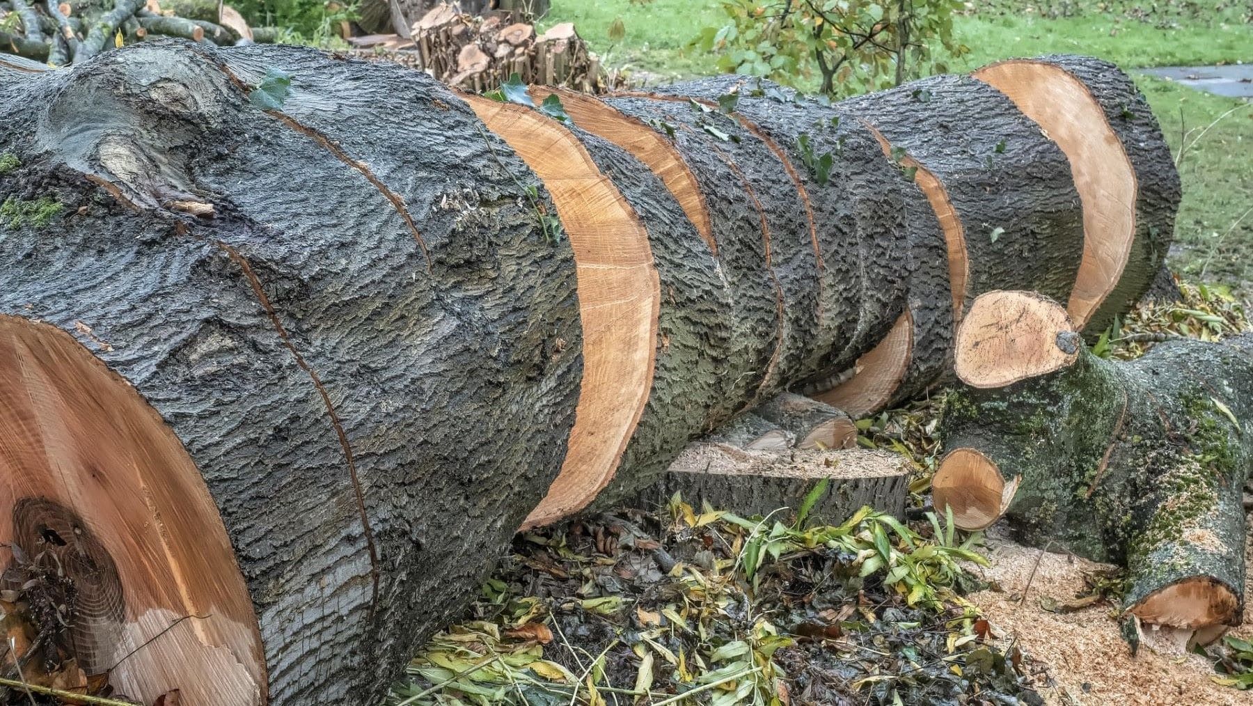 Acuerdo UE Mercosur genera debate por su impacto ambiental y comercial