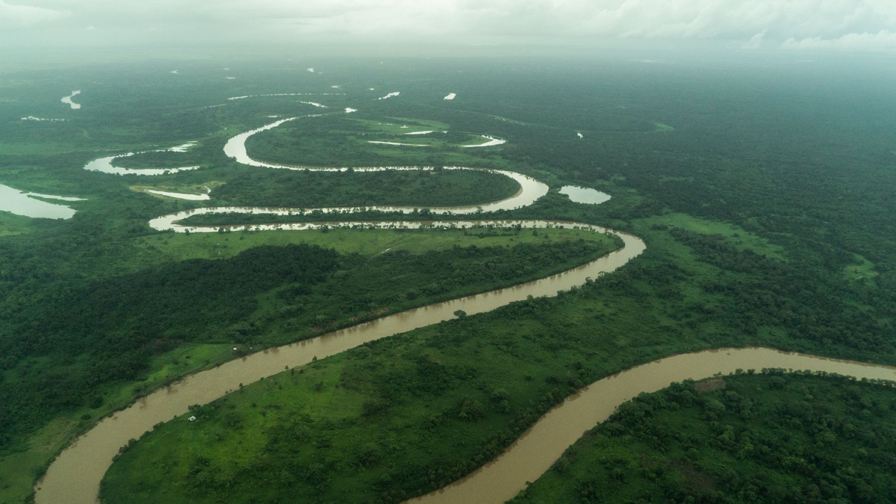 biosfera del río plátano en peligro crítico por deforestación
