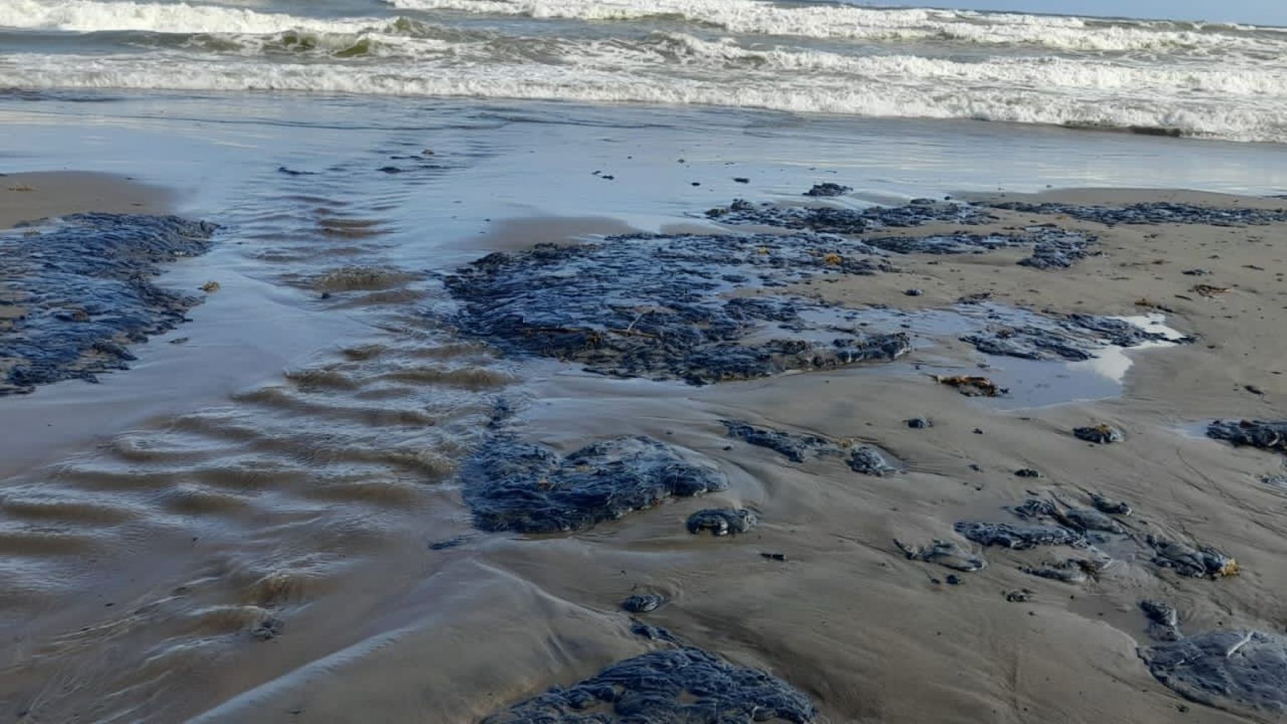 derrame de petróleo en el golfo de México afecta a pescadores y medio ambiente contaminación