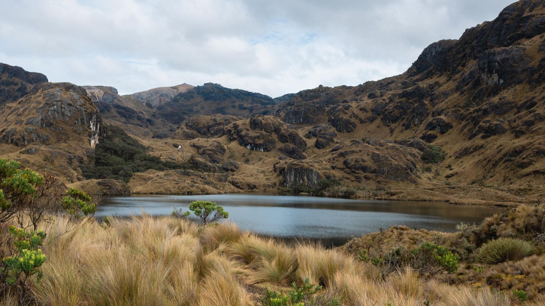 España pierde el 22% de sus lagunas temporales por el cambio climático y la agricultura